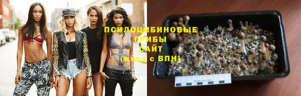 прущий лед Аркадак