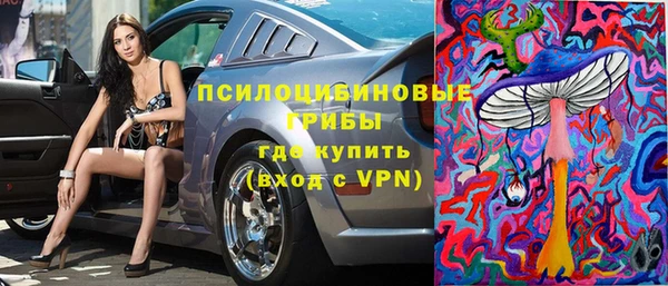 прущая мука Армянск