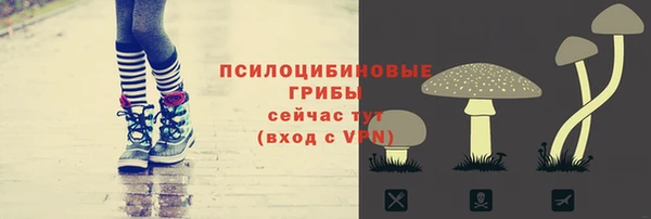 круглые Арсеньев