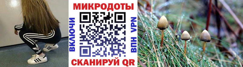 Галлюциногенные грибы Psilocybe  darknet Telegram  Полевской  закладки 